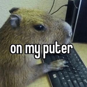 Meet your Posher, Gemma